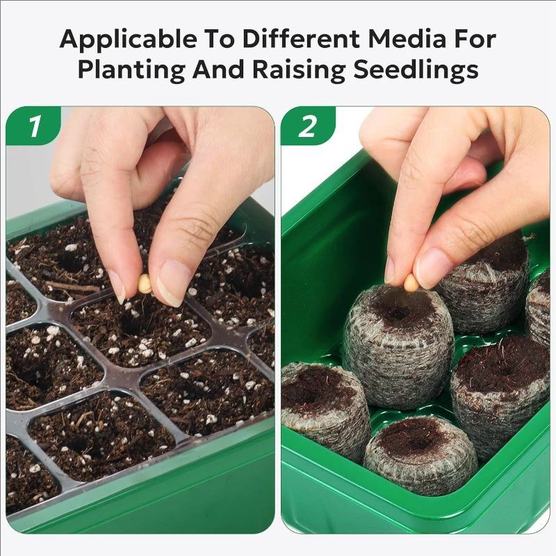 10'lu/5'li Paket Fide Tepsiler - Dome Propagation Kit incelemesi ve fiyatı