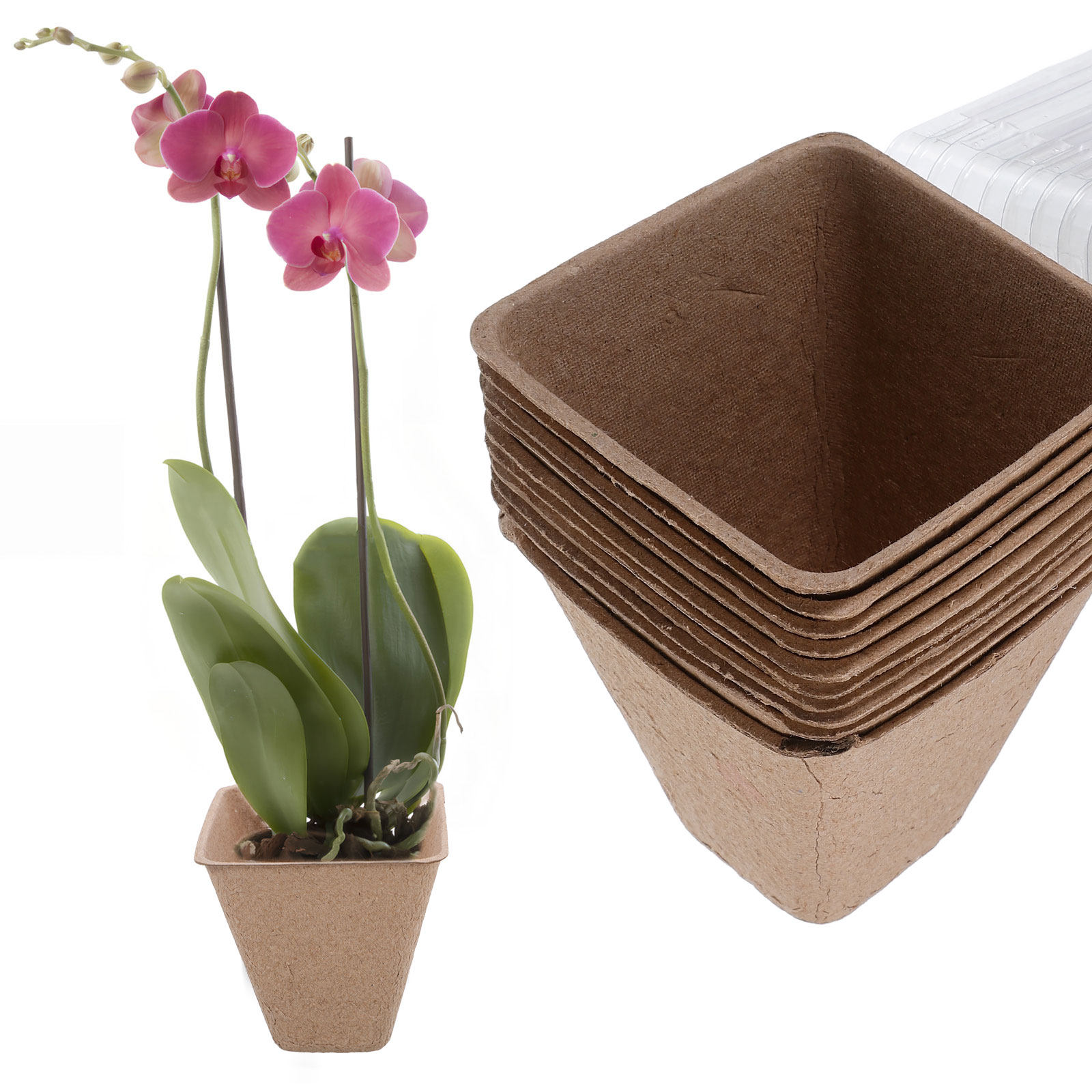 10 Adet Sürdürülebilir Fide Ba - Dome Propagation Kit incelemesi ve fiyatı
