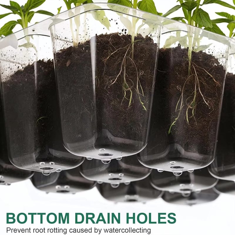 Mini Sera Çimlendirme Seti, Ne - Dome Propagation Kit incelemesi ve fiyatı